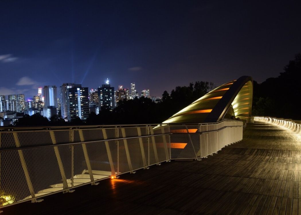 25 Most Beautiful Bridges in the World (2022) You Must See 8 Henderson-Waves-Bridge
