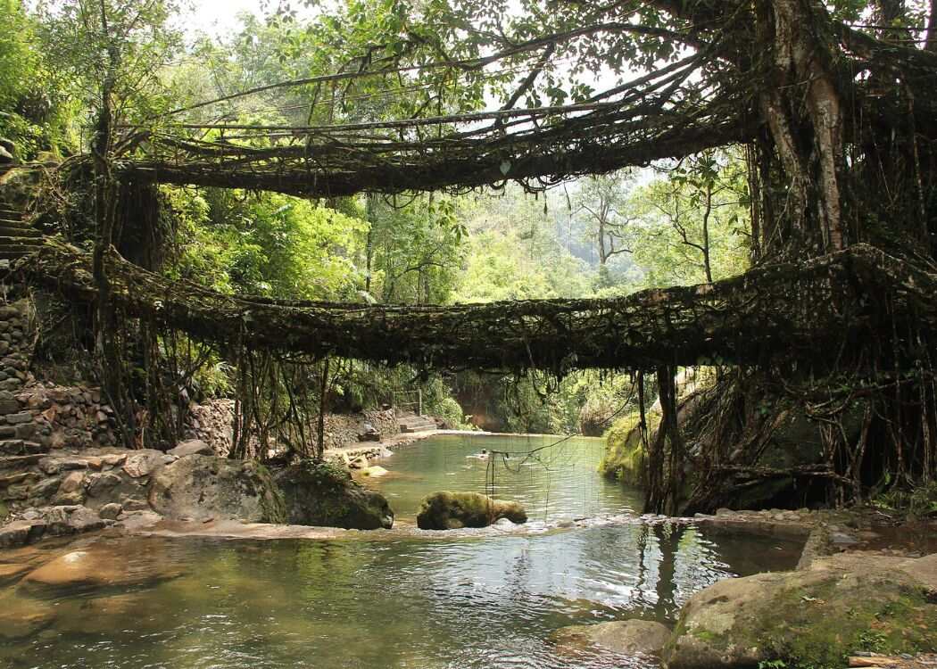 25 Most Beautiful Bridges in the World (2022) You Must See 22 Living-Root-Bridge