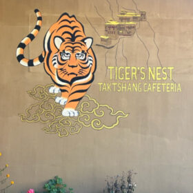 tigers nest halfway tiger
