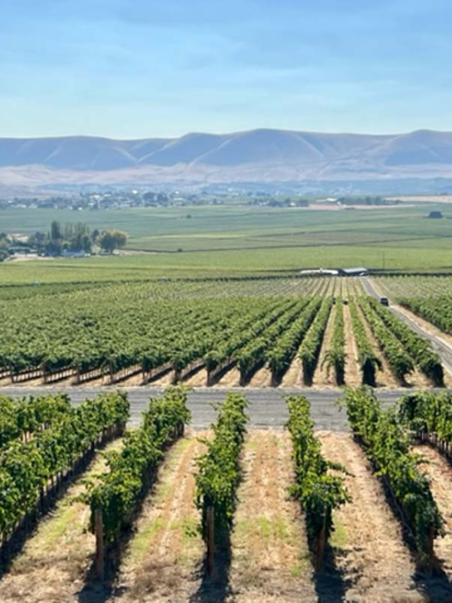 26 of the Best Wineries in Washington State You’ll Love Story