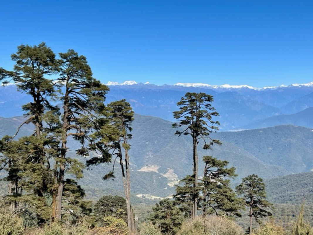 27 Best Tourist Places in Bhutan and Things to Do 66 Dochula Pass view