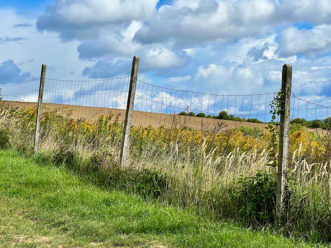 27 Interesting Things to do in South Moravia 49 spielberg winery vineyards