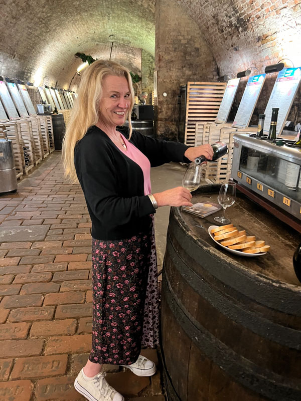 27 Interesting Things to do in South Moravia 39 wine salon