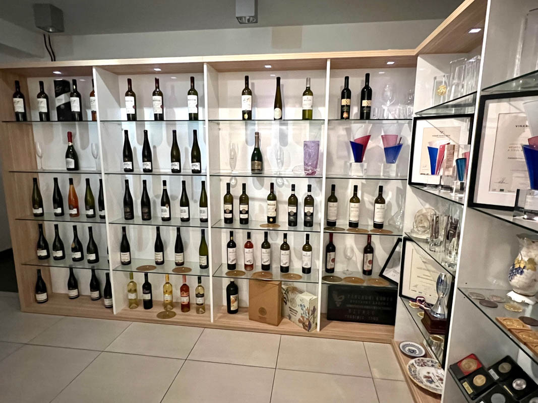 27 Interesting Things to do in South Moravia 57 zamecke winery interior