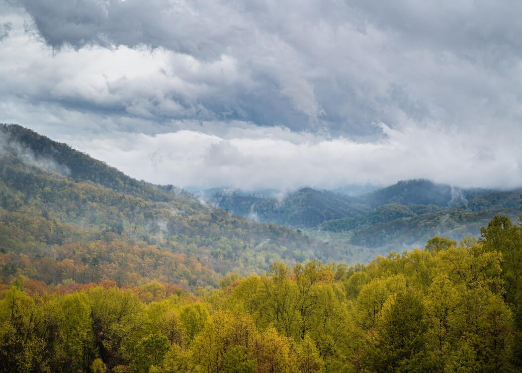 9 Best National Parks On The East Coast Of The United States (2023) 15 great-smoky-mountains-national-park
