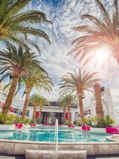 Las Vegas in May Pool